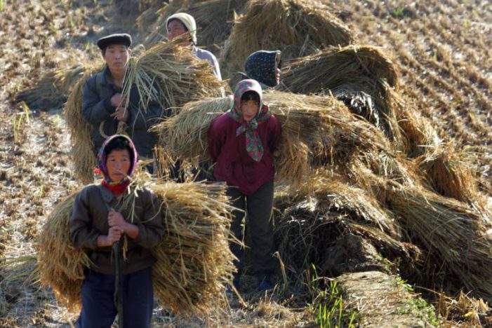 Polling average North Koreans: They now know they don’t live in a socialist paradise