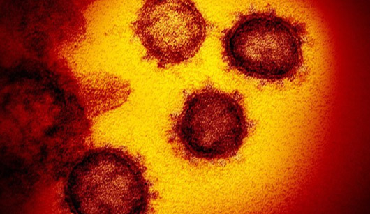 China steps up, providing anti-U.S. rumor control on origins of coronavirus
