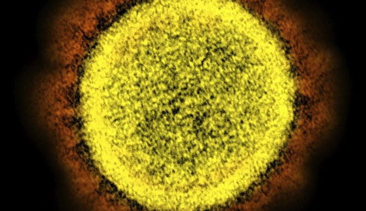Bioweapon? Inside the high-stakes U.S. intel fight on the Wuhan virus