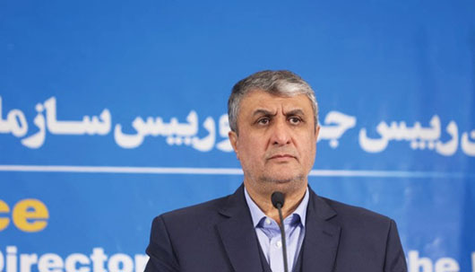 Top Iran nuclear official in Moscow to discuss 8 new power plants