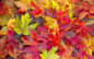 October Surprise